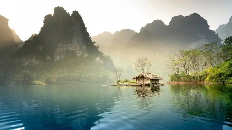智能全自动独特